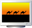 NFS Camels