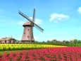 Free 3D Windmill Screensaver