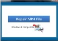 Repair MP4 File