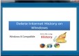 Delete Internet History on Windows