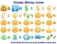 Glossy Money Icons