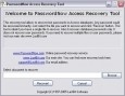 PasswordNow Access Recovery Tool