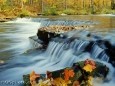 Natures Splendors: Autumn Screen Saver and Wallpap