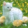 Nice Cat Puzzle