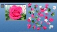 Rose Puzzle Game