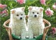 OSC Cute Puppies Puzzle