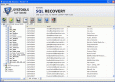 SQL 2005 Database Repair