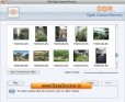Recover Photos from Mac