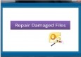 Repair Damaged Files