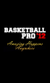 Basketball Pro '12