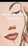 Learn_C_program