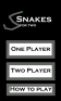 Snaker Two Player