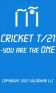 Cricket T/21