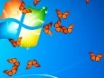 Butterfly On Desktop