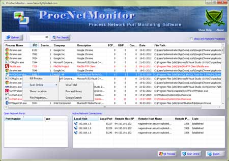 Proc Net Monitor