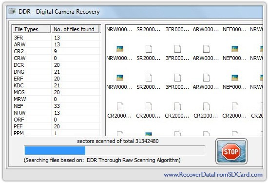 Recover Data from Digital Camera
