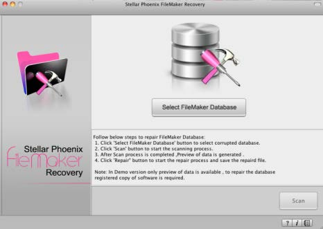Filemaker database repair(Mac)