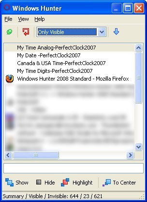 Windows Hunter 2008 Standard
