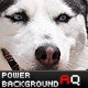 Power Website Fullscreen Background V2