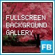 Fullscreen Background Gallery XML