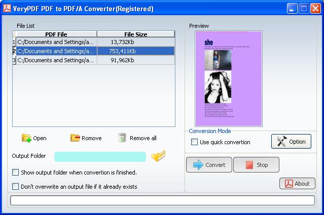 PDF to PDF/A Conversion Utility