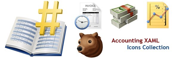 Accounting XAML Icons