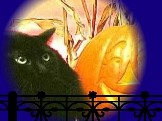 Screechy Cat Halloween Wallpaper