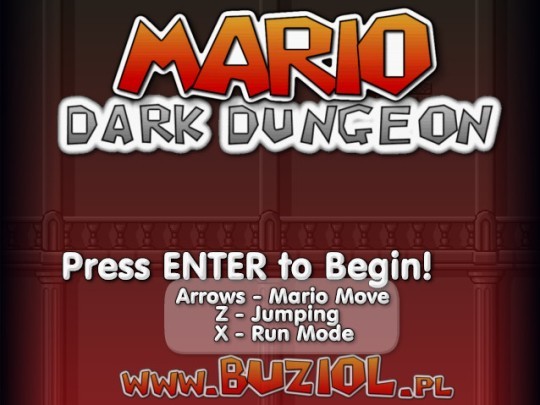 Super Mario the Dark Dungeon