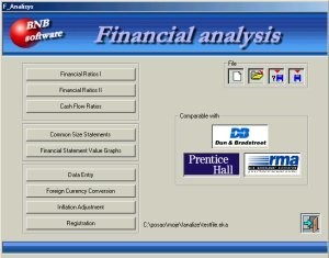 Financial analysis - professional
