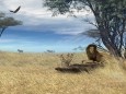 Savannah Safari - Animated 3D Wallpaper