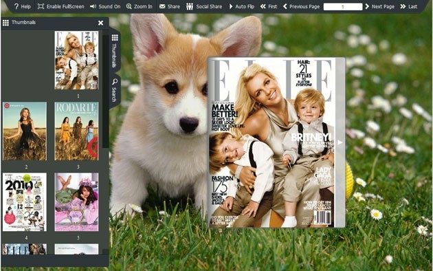 FlashBook Templates for Cute Dog Style