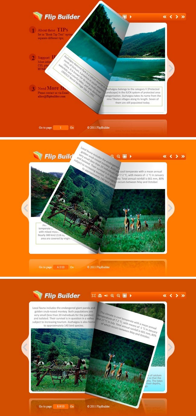 Flip_Themes_Package_Conciseness_Orange