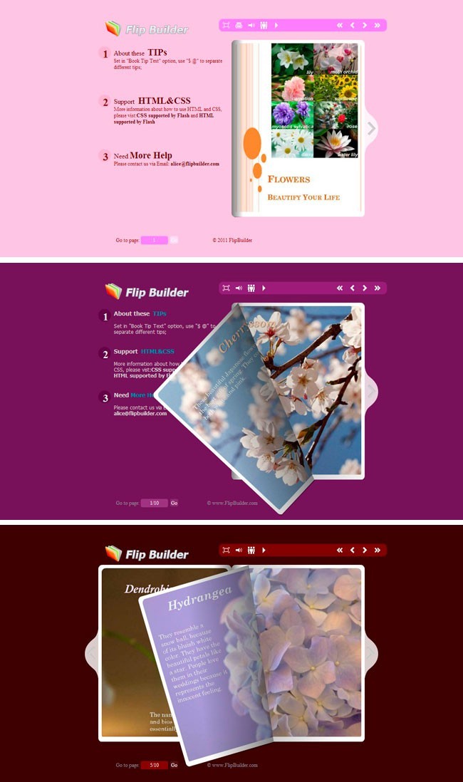 Flip_Themes_Package_Conciseness_Red