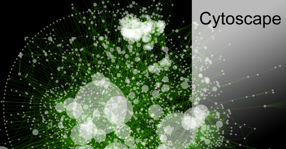 Cytoscape x64