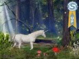 Enchanted Forest - 3D Screen Saver