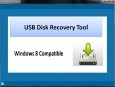 USB Disk Recovery Tool