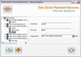IE Password Uncover Tool