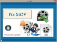 Fix MOV