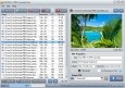 FM PNG To PDF Converter Free