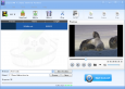 Lionsea DVD To ITunes Converter Ultimate