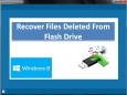 Recover Files Deleted from Flash Drive