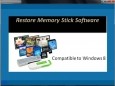 Restore Memory Stick Software