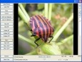 GdViewer Pro ActiveX - Site License