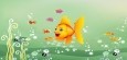 Cartoon Goldfish Wallpaper