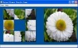 Daisy Flower Puzzle Game