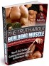 The Truth About Muscle Building