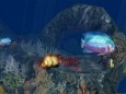 3D Aquatic Life Screensaver: Fish!