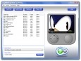 Convexsoft Video to Wii Converter
