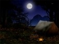 Night in the Forest - Animated Desktop