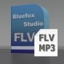 Bluefox FLV to MP3 Converter 40% discount version